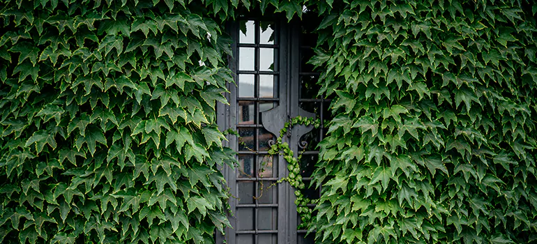 Garden Gate Repair in Crestview, FL
