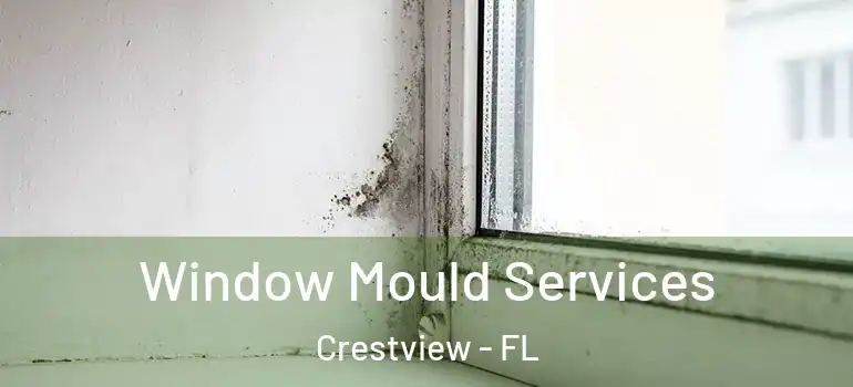  Window Mould Services Crestview - FL